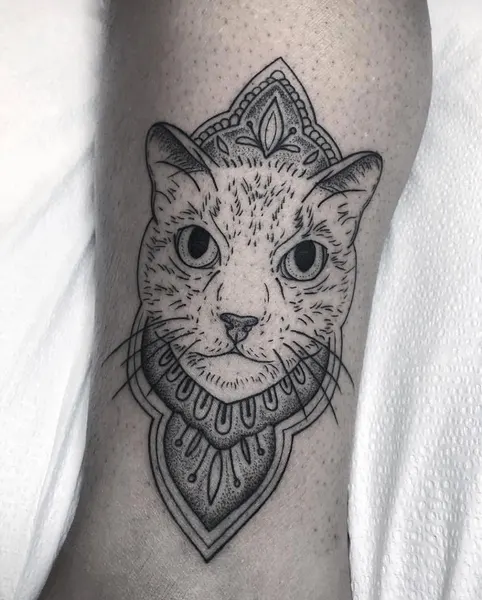 Animal