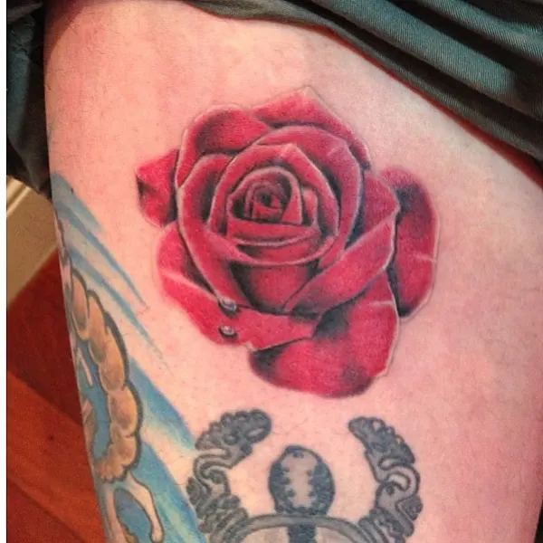 Flower, Rose