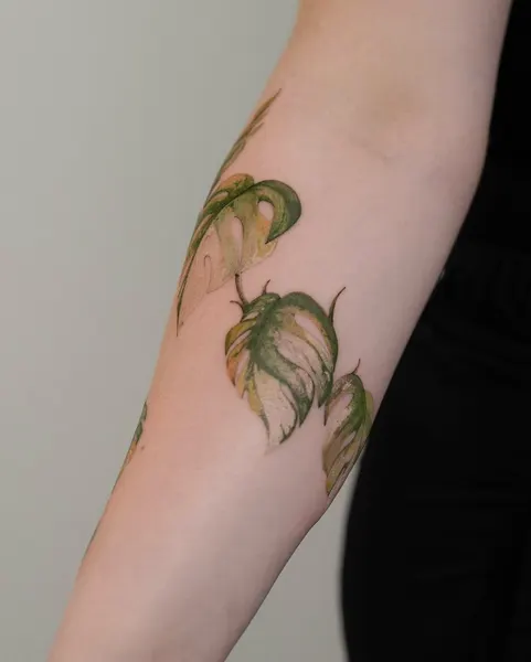 Flower, Rose, 풀, 고사리, 은행잎, 올리브 가지