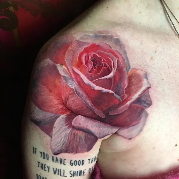 Flower, Nature, Rose