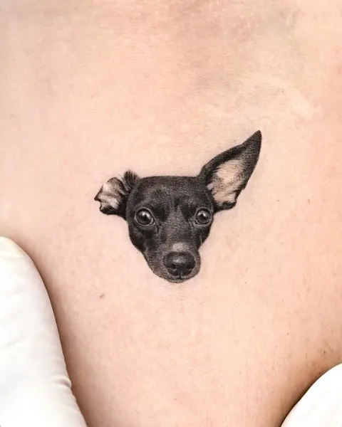 Animal, 강아지