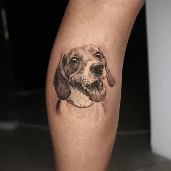 Animal