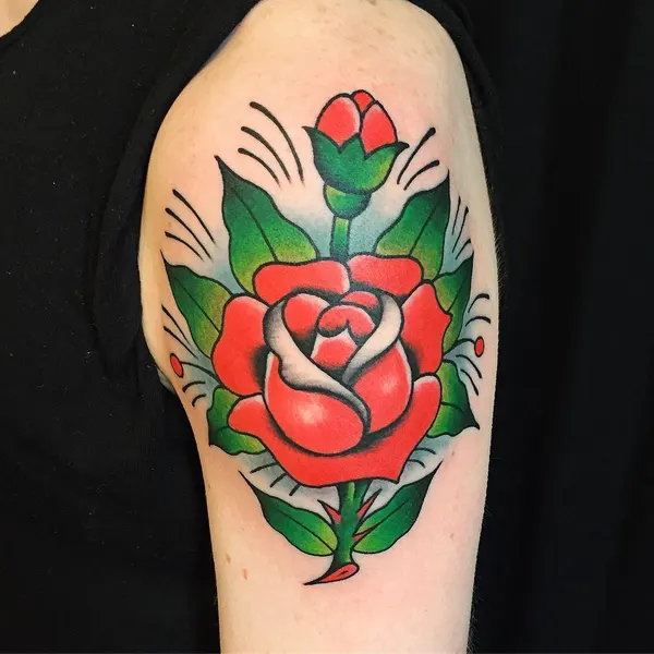 Flower, Rose, Nature
