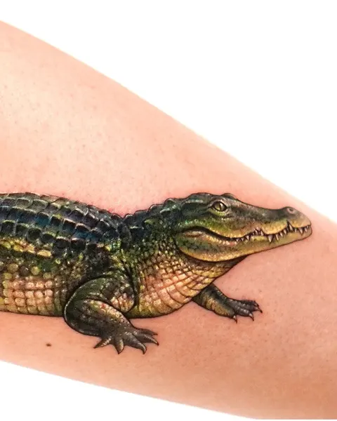 Dragon, 악어