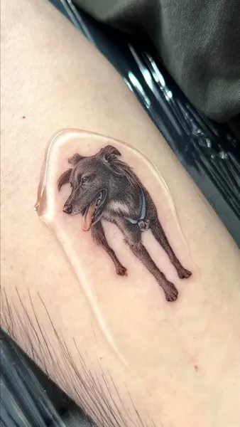 양, 염소, 소, 멧돼지, 유니콘, 코끼리, Animal, 황소
