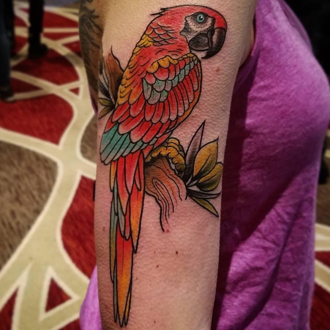 Animal, Nature, 앵무새