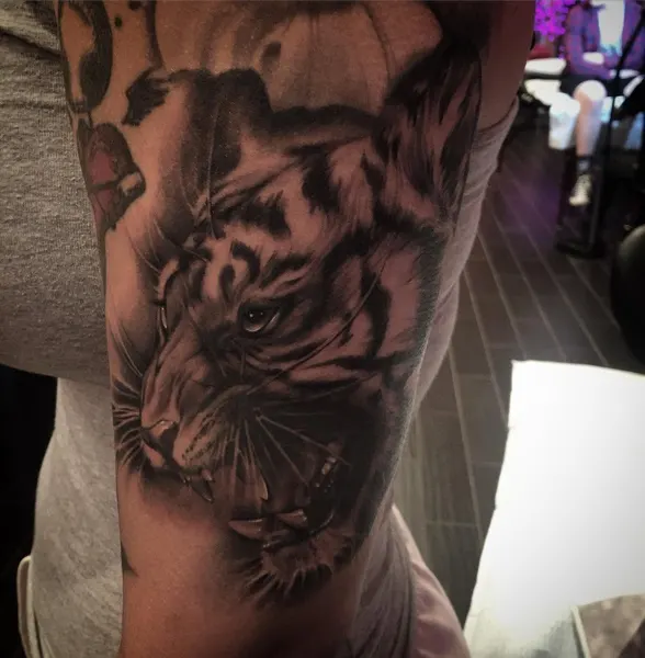 Tiger