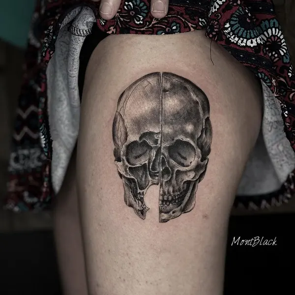 뼈, Skull
