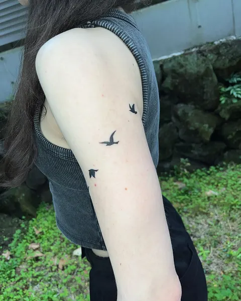 새, 제비, 일본 학, 미니멀, 한국 학