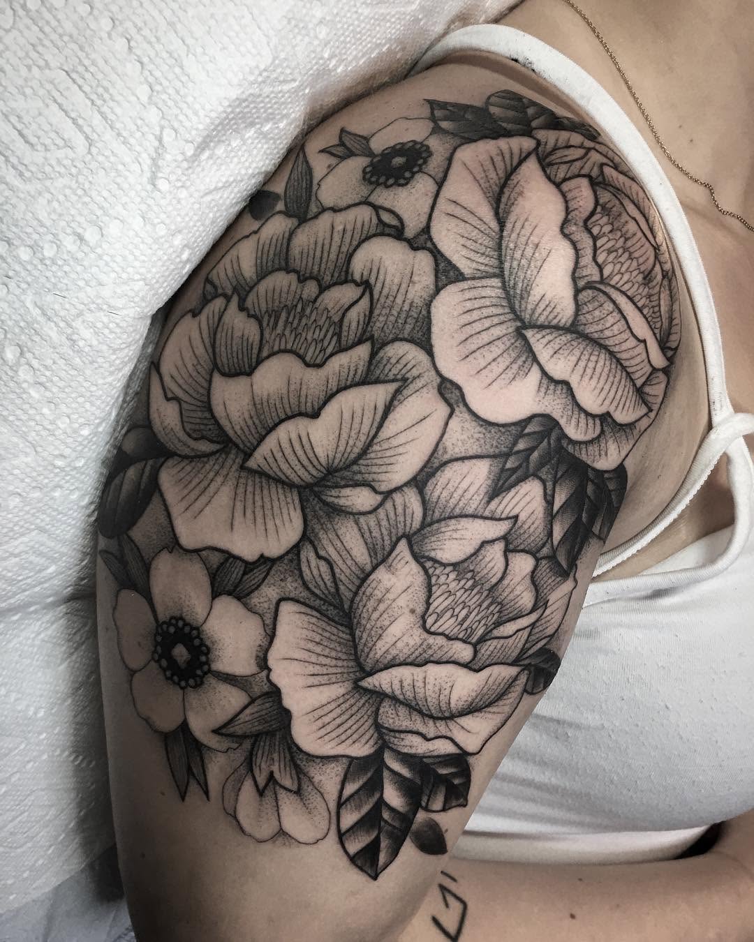 Flower, Rose, Nature