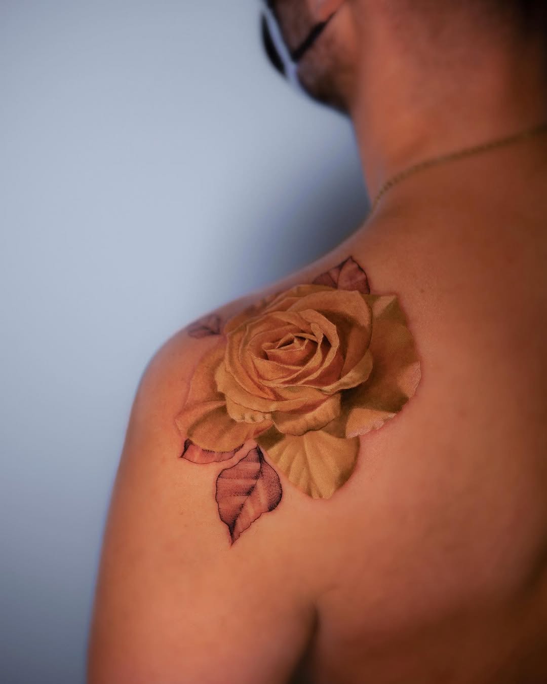Flower, Rose, Nature, 목련