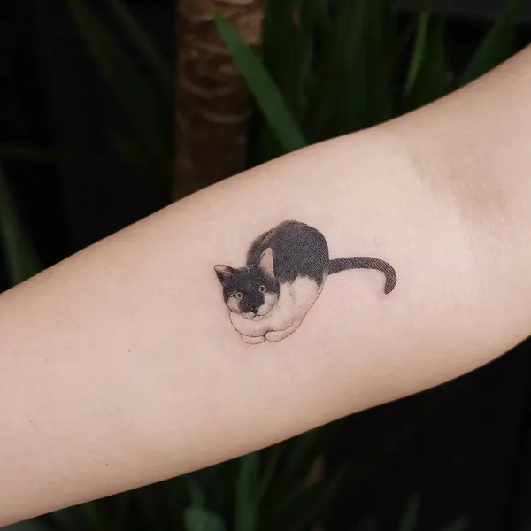 개미, 쥐, 팬서, 너구리, 다람쥐, 마네키네코, 여우 가면, Animal, Mini, 지네, 텐구, 함사, 고양이, 나무늘보