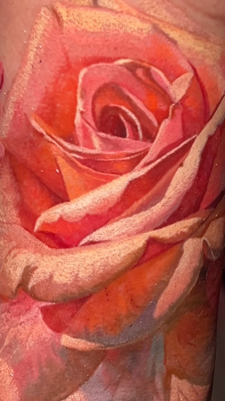 Flower, Rose