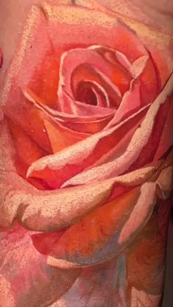 Flower, Rose