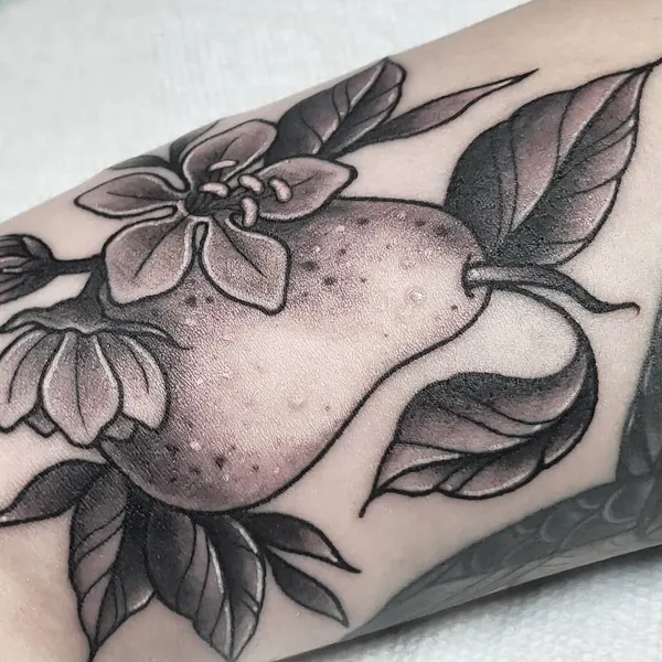모란, 목련, Flower, Rose