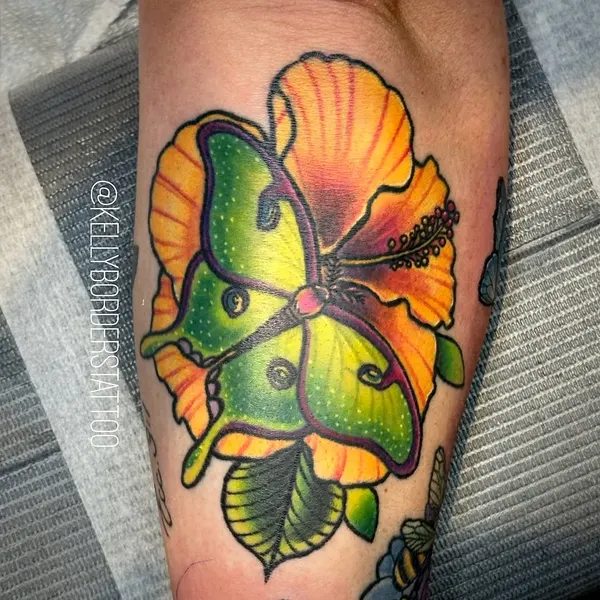 Animal, Nature, Flower