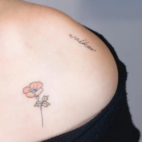 Flower, 백합, 튤립, 야생화, 아이리스, 카네이션, 수선화