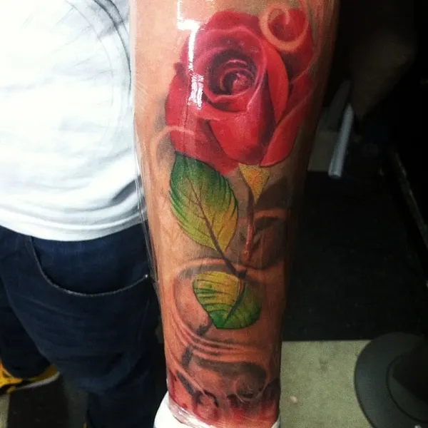 Flower, Rose