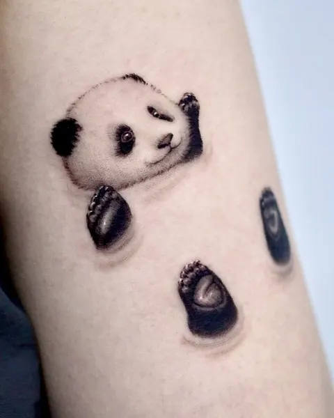 Animal, 돼지, 코알라