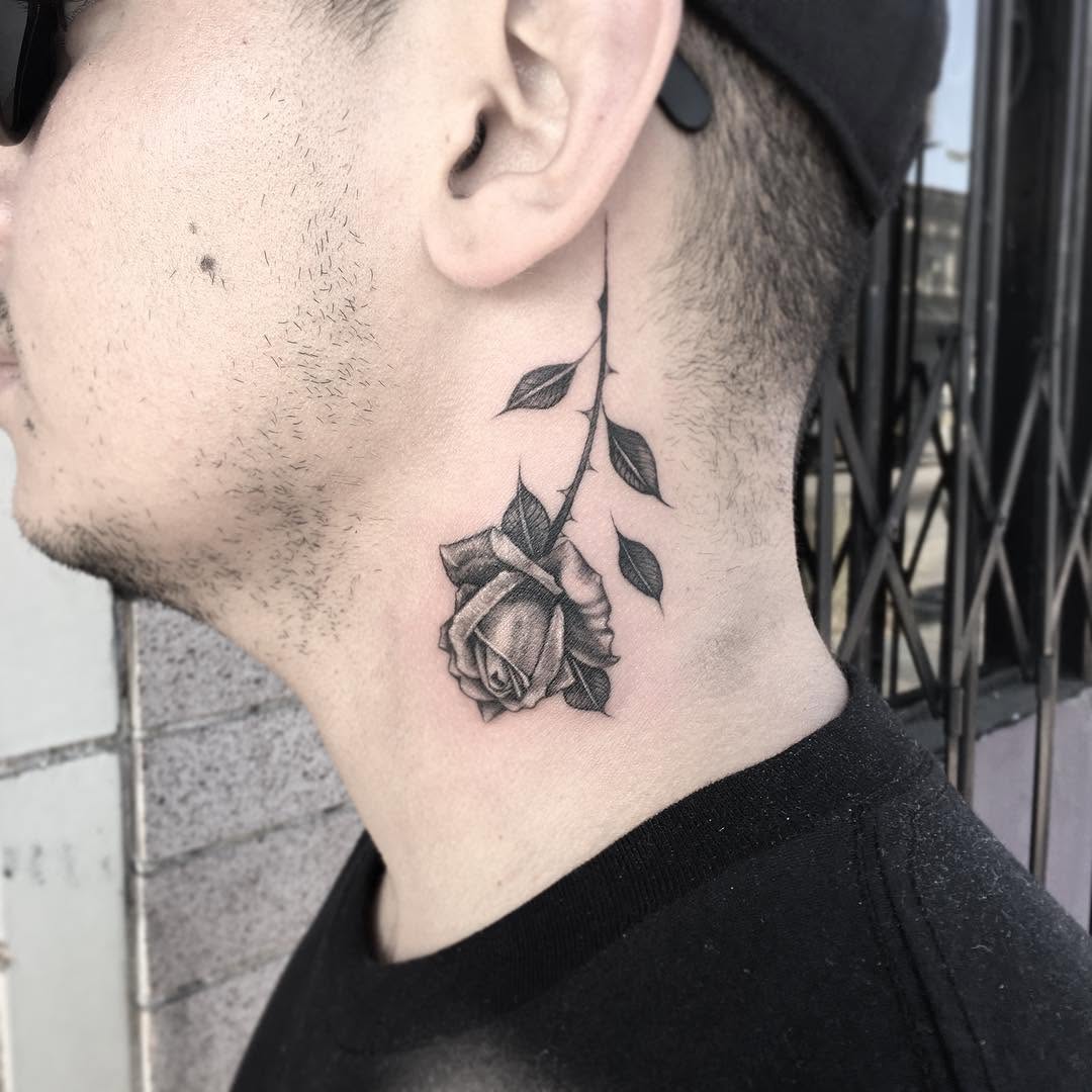 Flower, Rose, 한국 연꽃, 부채, 한국 장식