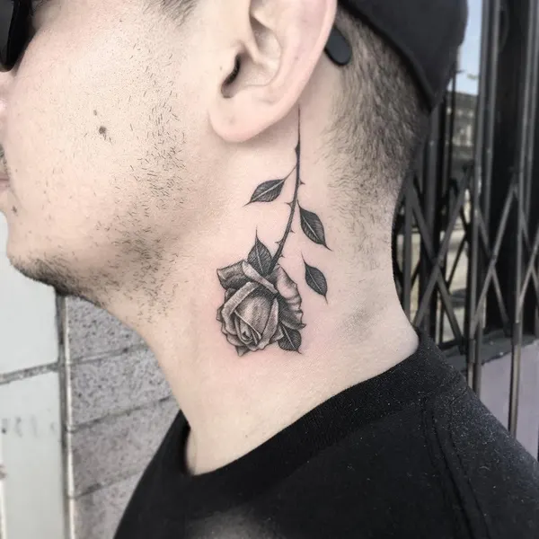Flower, Rose, 한국 연꽃, 부채, 한국 장식