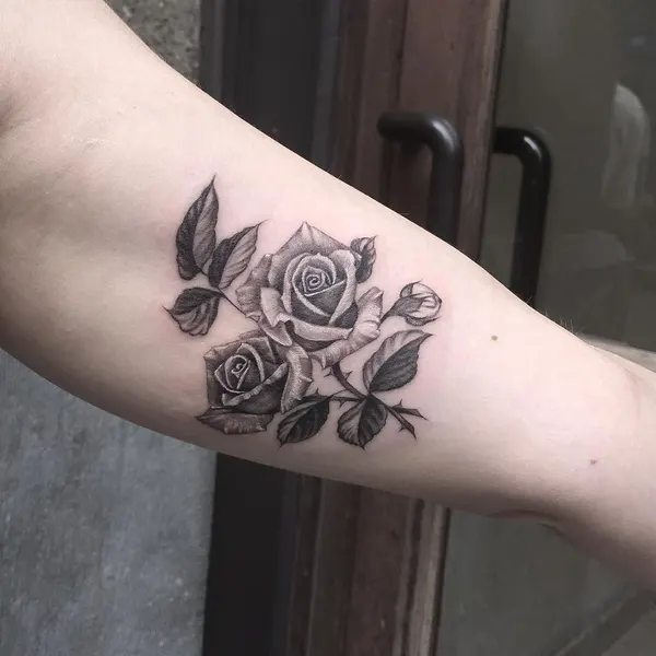 Flower, Rose