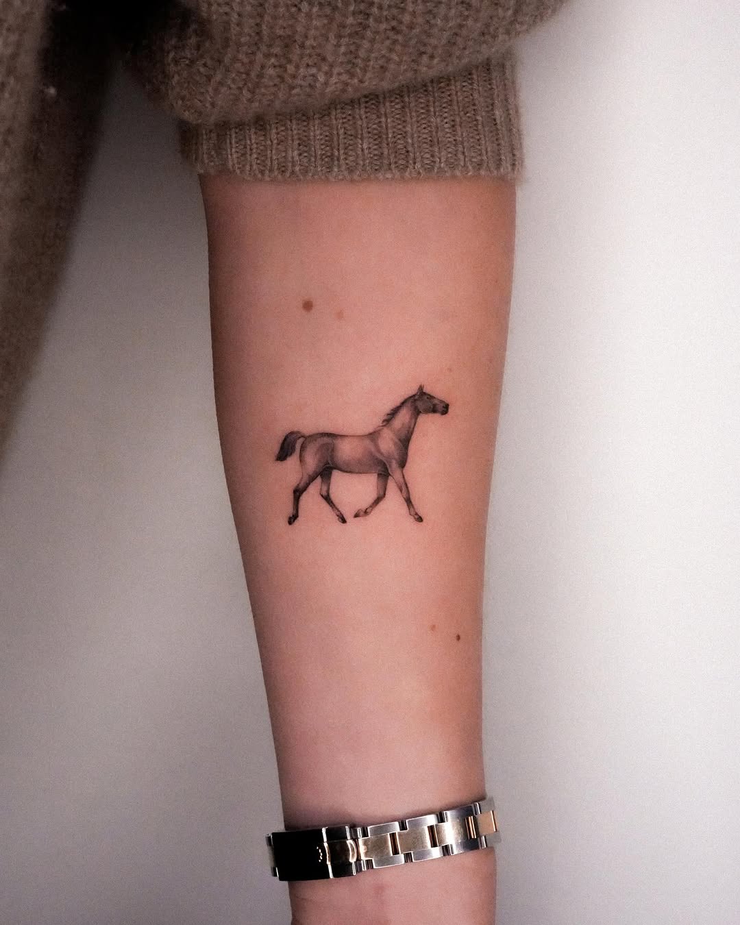 띠, 사슴, 염소, 말, 소, 황소, 다루마, 양자리, 유니콘, 염소자리, 커스텀 타투, Animal, 오니, 함사, 해마, 반려동물, 카우보이