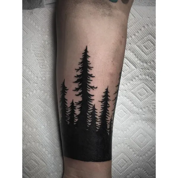 Nature, 숲, 소나무