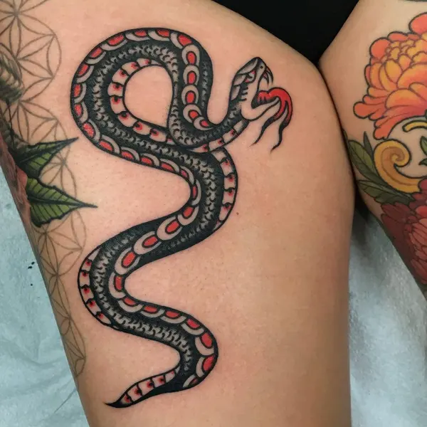 Dragon, Snake