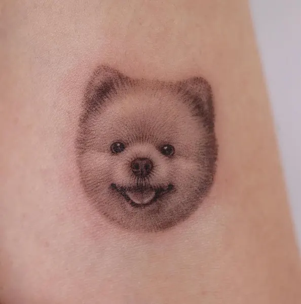 곰, 판다, 너구리, 코알라, 고슴도치, 나무늘보