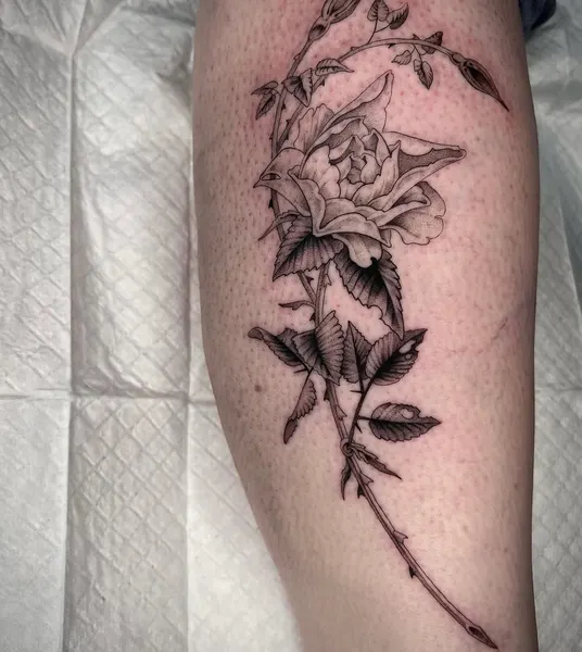 Flower, Rose