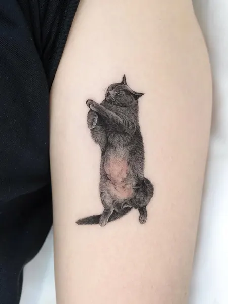 너구리, 다람쥐