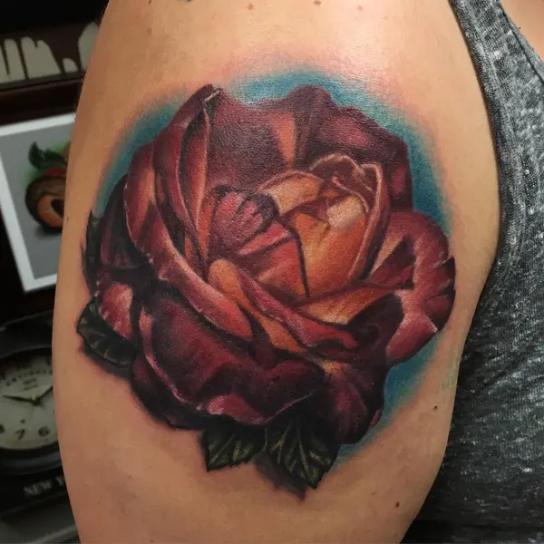 Flower, Rose, Nature