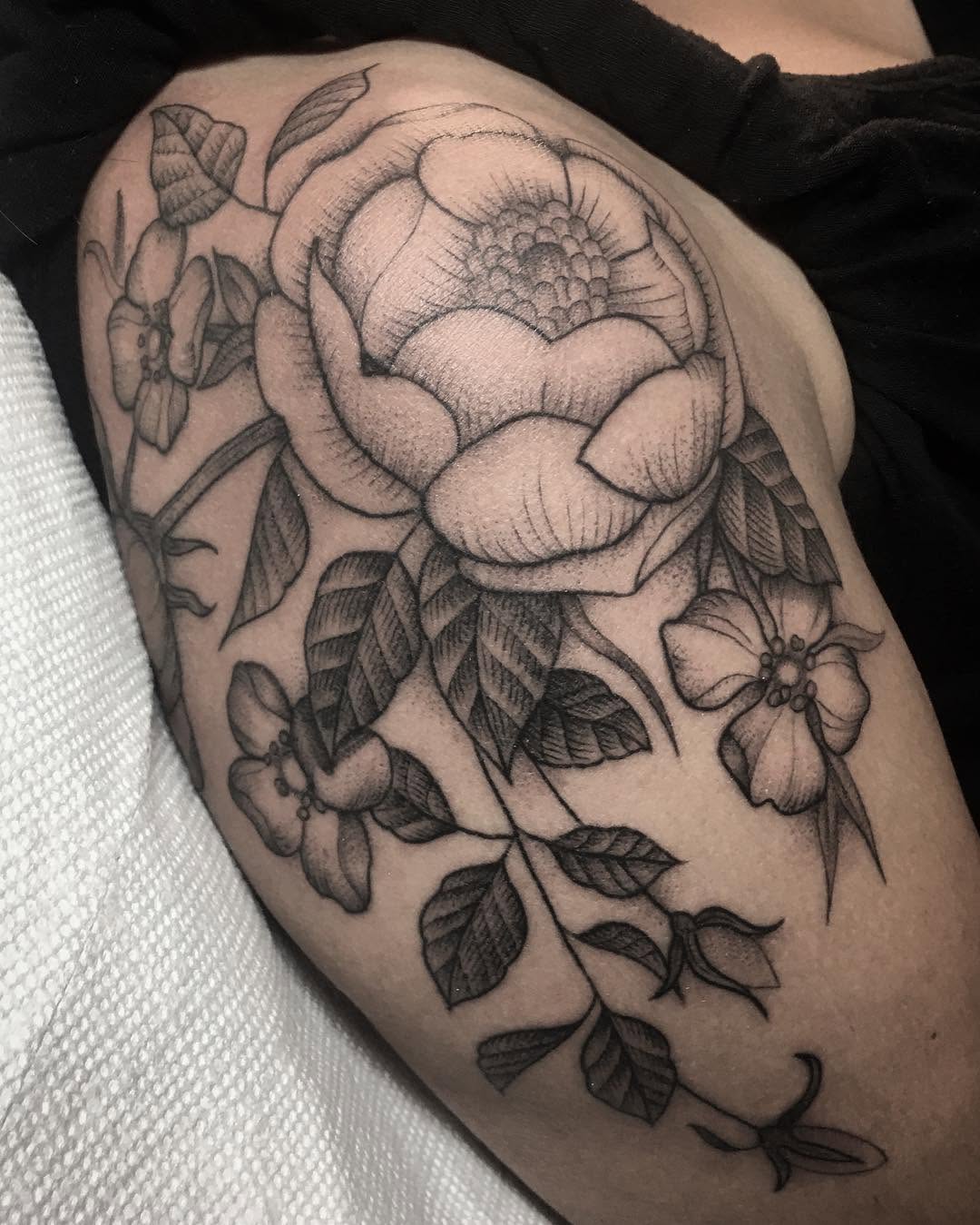 Flower, Rose