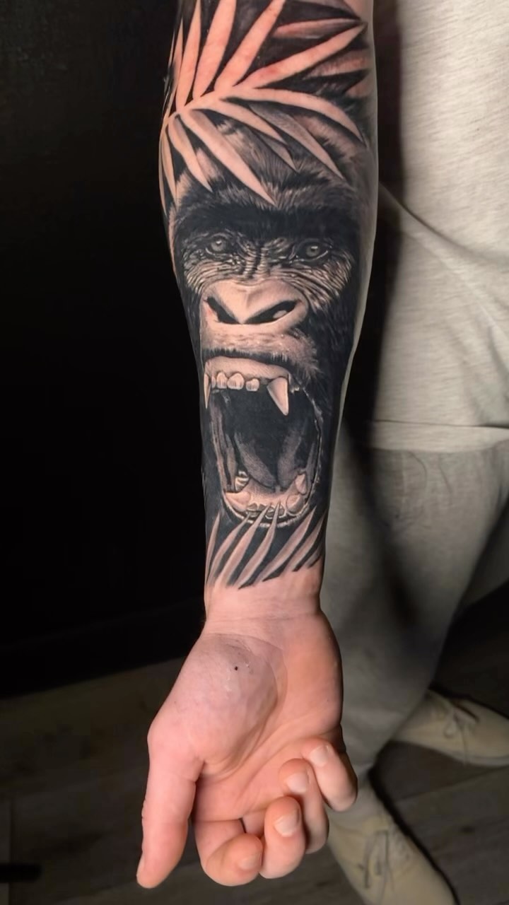 Tiger, Animal, 고릴라, 원숭이
