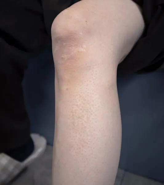 성좌, 연기, 은하, 수묵화, 팔레트, 해파리, 코스모스, 산호, 구름 문양