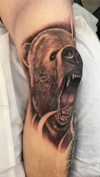 Animal, 곰
