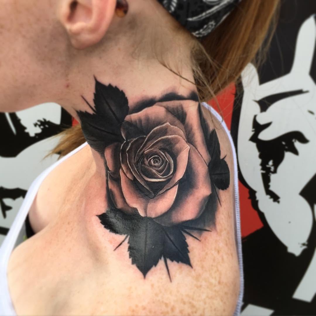 Flower, Rose, Nature