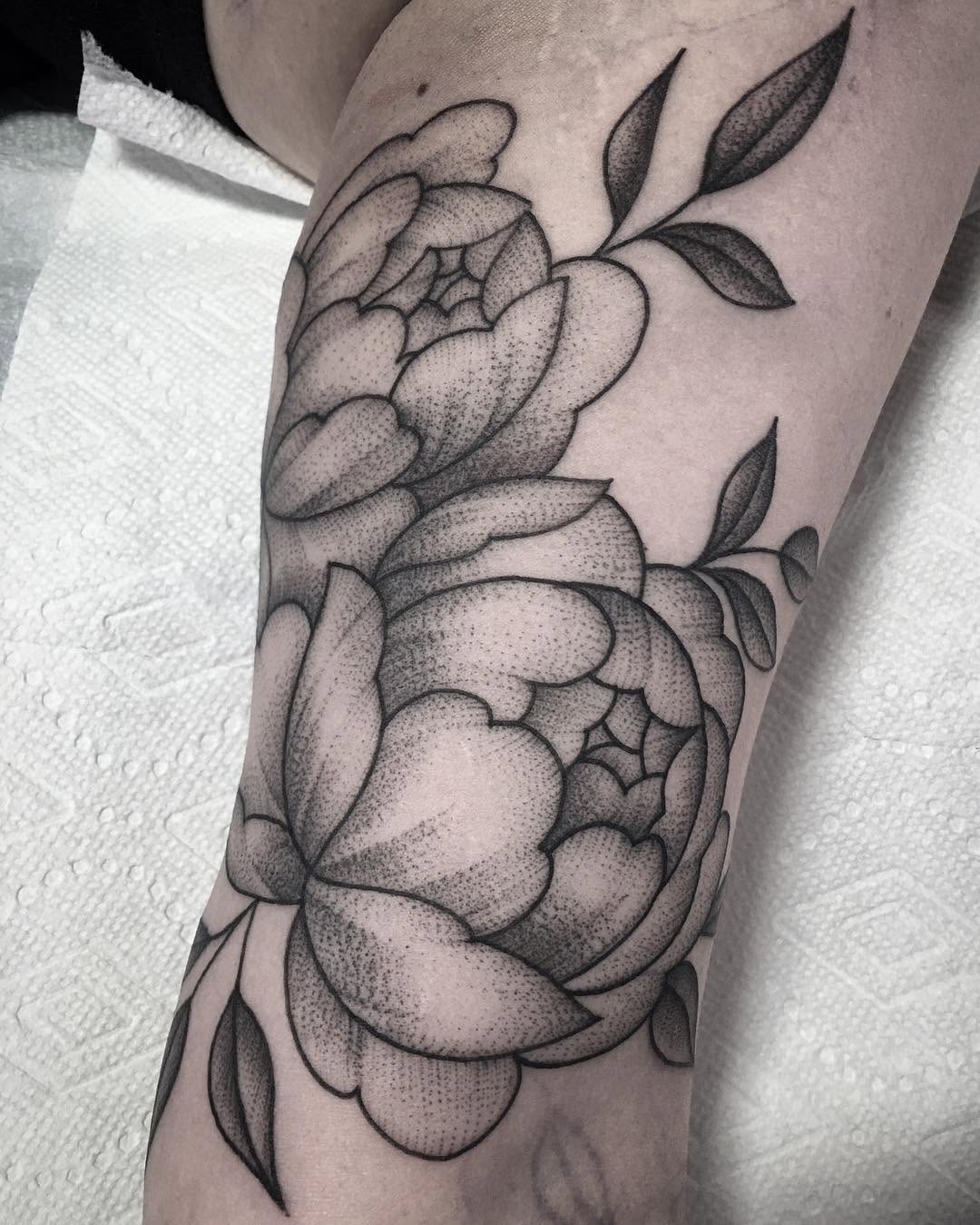 Rose, Flower, 목련