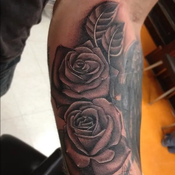 Flower, Rose