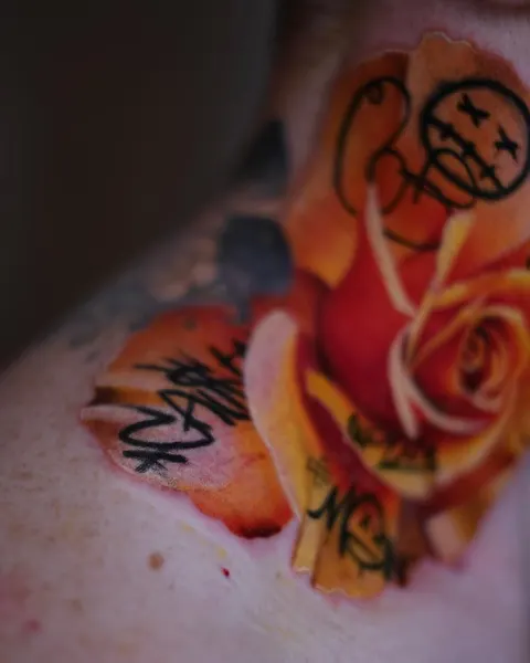 Flower, Rose, Nature