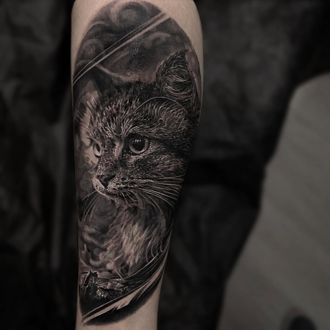 Animal