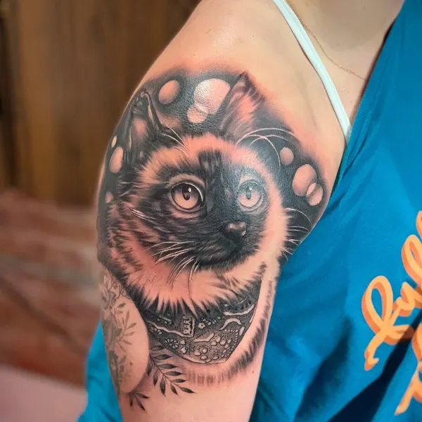 Animal