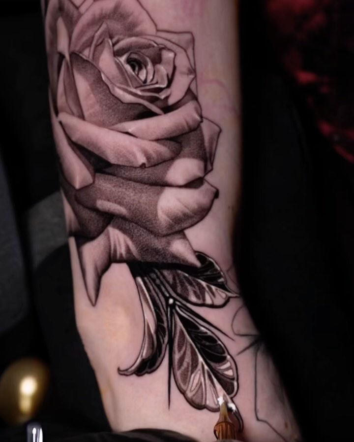 Flower, Rose, Nature