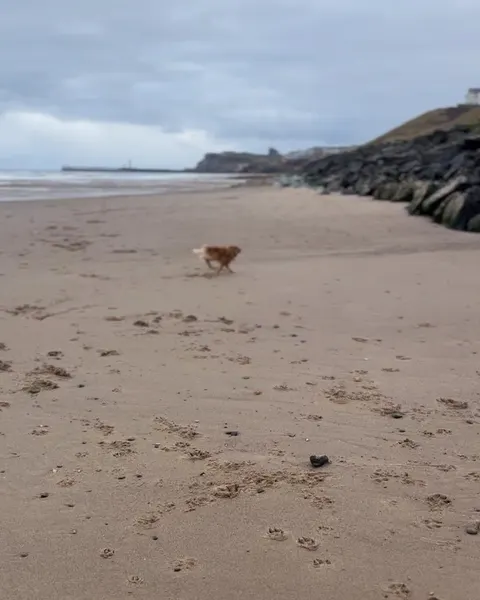Suflanda