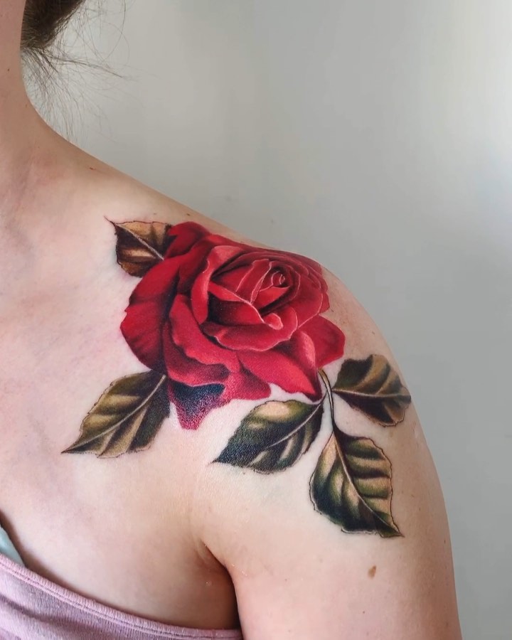 모란, 목련, Flower, Rose, Nature