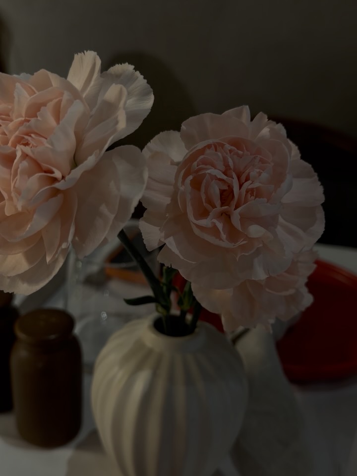 Flower, Rose, Nature, Dragon