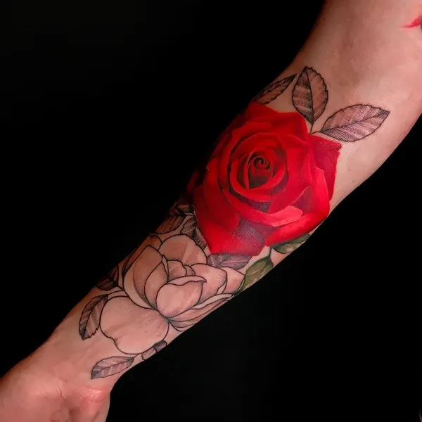 Flower, Rose