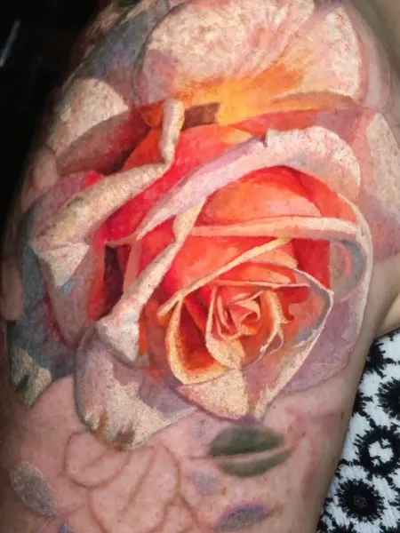 Flower, Animal, Nature, Rose