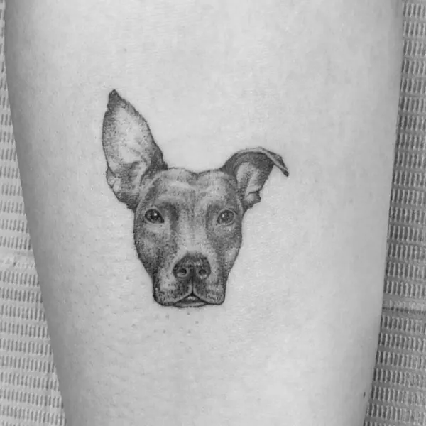 mr.k_tattoo